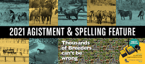 2021 Agistment and Spelling
