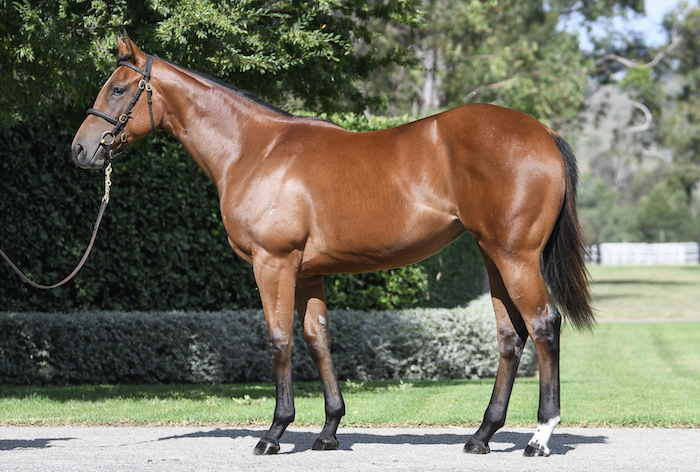 $3m Yearling Ernaux