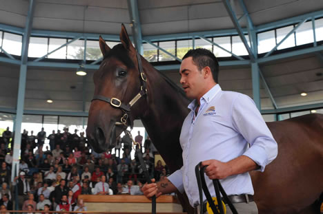 $5 million colt $5 million colt