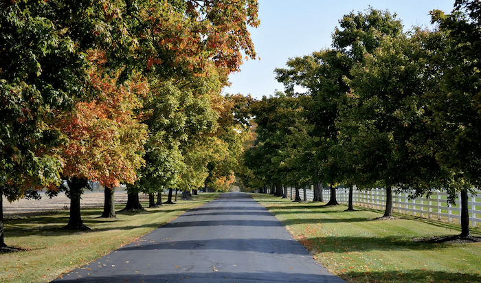 Darby Dan Farm Darby Dan Farm