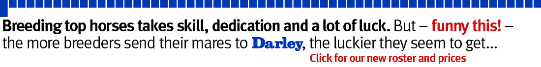 Darley stallions