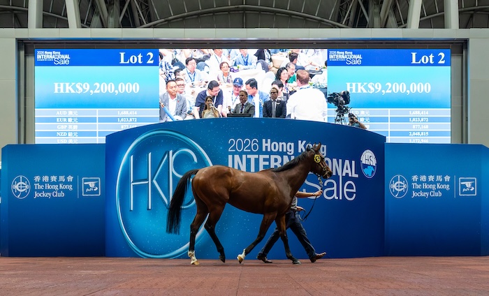 Deep Field-Hussteria sale topper