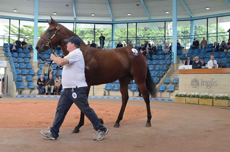 $1 million Fastnet Rock-Catreign colt