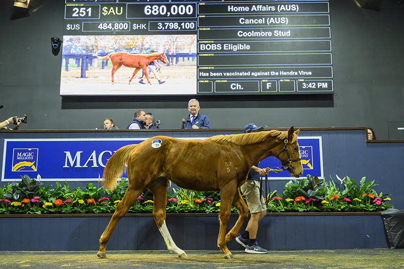 Home Affairs-Cancel Filly
