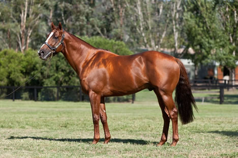 Leading freshman sire Husson Leading freshman sire Husson