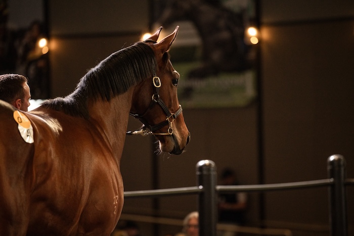 Inglis Sales