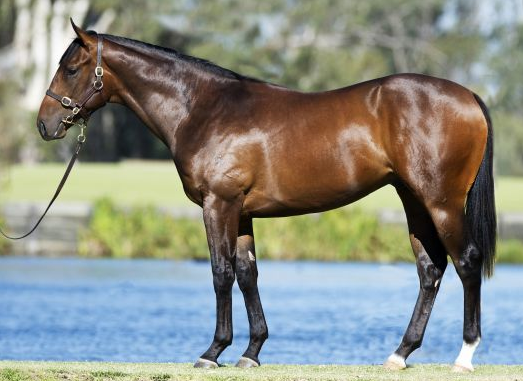 Lot 131 Lot 131