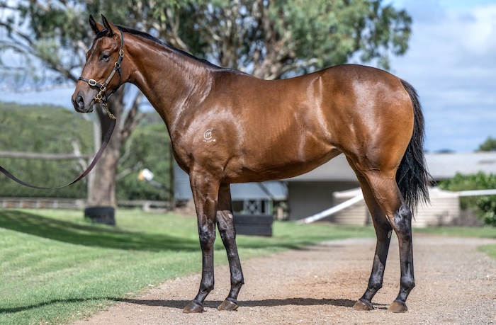 Lot 174 Worthy Cause-Girls Aloud