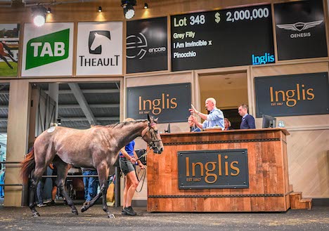 I Am Invincible-Pinoccio