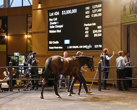 Zoustar-Solar Charged colt