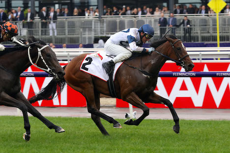 Miami Bound Miami Bound