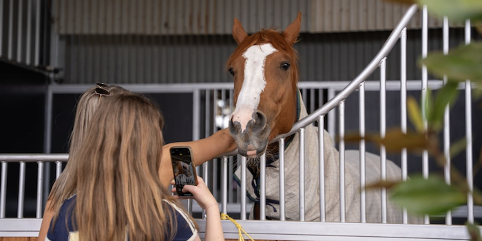 National Racing Week SA