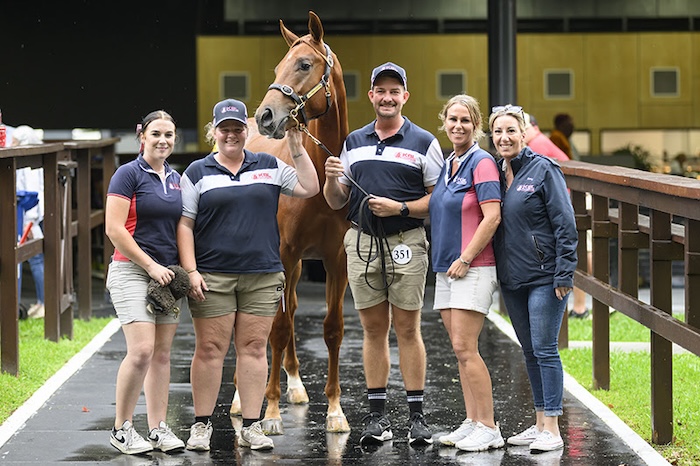 Pinatubo-Of The Day colt