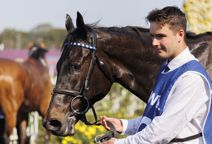 Protagonist Protagonist