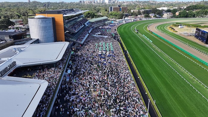 Royal Randwick Everest