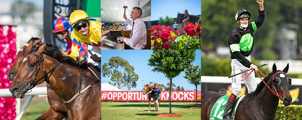 2022 MM Adelaide Sale