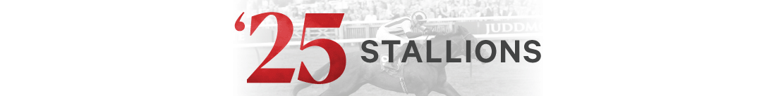 Arrowfield stallion