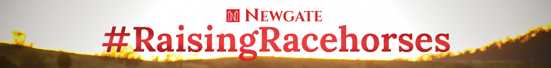 Newgate graduate