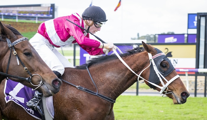 Peters Family Has Another Potential Top Liner « Breeding Racing