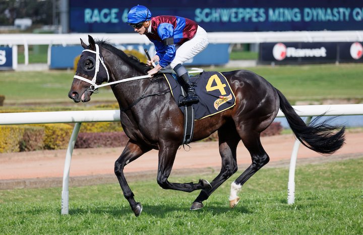 Basquiat Heading to Singapore « Breeding Racing