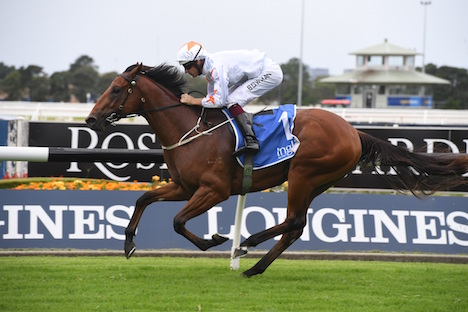 South African Queen visits Golden Slipper Winner « Breeding Racing