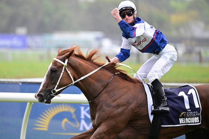 Have A Go Racing Go Racing Stayers Showing Promise in Australia « Breeding Racing