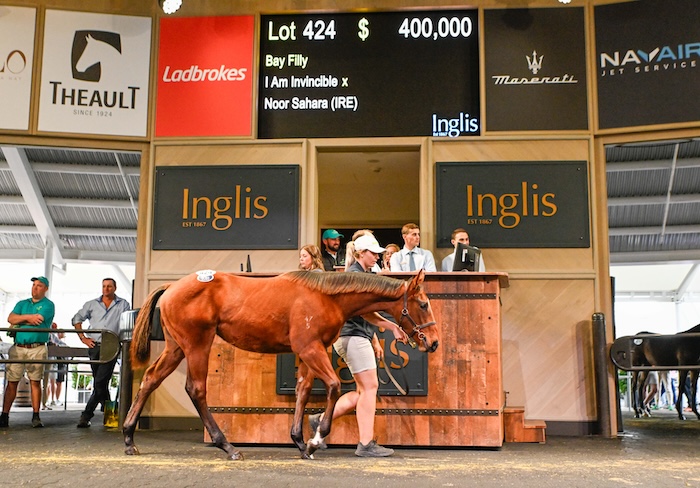 I Am Invincible-Noor Sahara filly