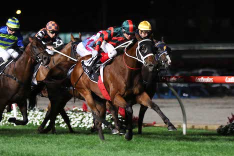 September Races September Run Firms for Sangster After Draw « Breeding Racing