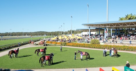 Sunshine Coast Redevelopment Complete « Breeding Racing