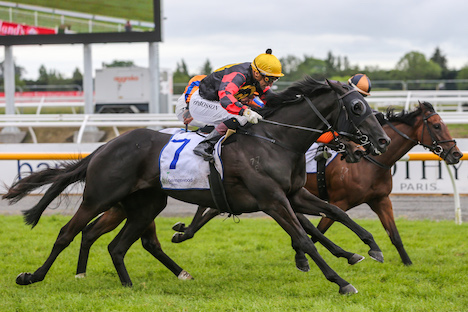 Derby Trial at Te Rapa for Gr1 Heroine « Breeding Racing