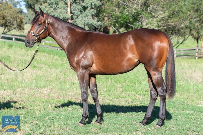 Uncorked as a yearling
