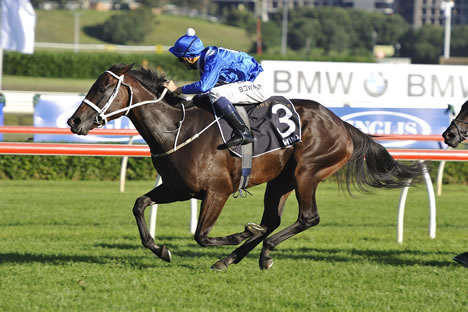 Winx Crowned Australian Horse Of The Year « Breeding Racing